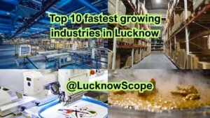 Top 10 fastest growing industries in Lucknow