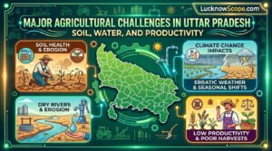Major Agricultural Challenges in Uttar Pradesh: Soil, Water, and Productivity