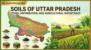 Soils of Uttar Pradesh: Types, Distribution, and Agricultural Importance
