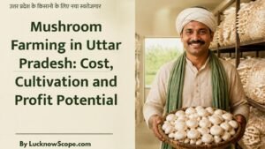Mushroom Farming in Uttar Pradesh: Cost, Cultivation and Profit Potential
